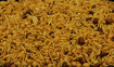 Picture of Bombay Sweet Chanaghur Namkeen Snacks 70 Grams